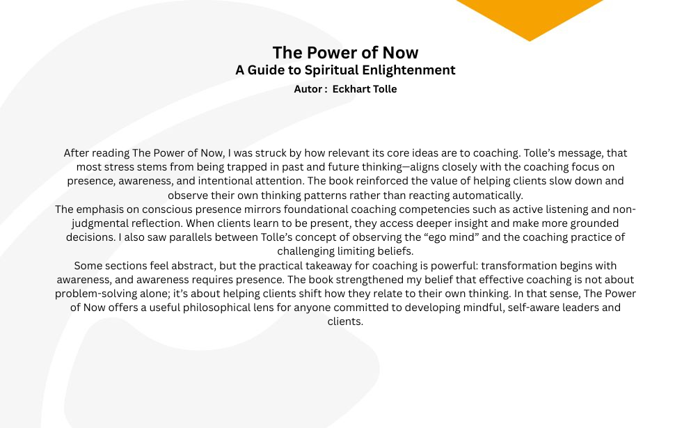 The-Power-of-Now-link2coaching